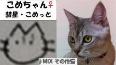 にほんブログ村 猫ブログ MIXその他猫へ