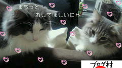 にほんブログ村 猫ブログ ノルウェージャンフォレストキャットへ