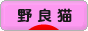 にほんブログ村 猫ブログ 野良猫へ