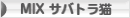にほんブログ村 猫ブログ MIXサバトラ猫へ