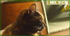 にほんブログ村 猫ブログ MIXサビ猫へ