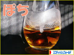 にほんブログ村 猫ブログ スコティッシュフォールドへ