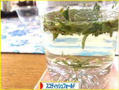 にほんブログ村 猫ブログ スコティッシュフォールドへ