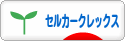 にほんブログ村 猫ブログ セルカークレックスへ