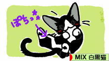 にほんブログ村 猫ブログ MIX白黒猫へ