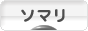 にほんブログ村 猫ブログ ソマリへ
