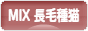 にほんブログ村 猫ブログ MIX長毛種猫へ