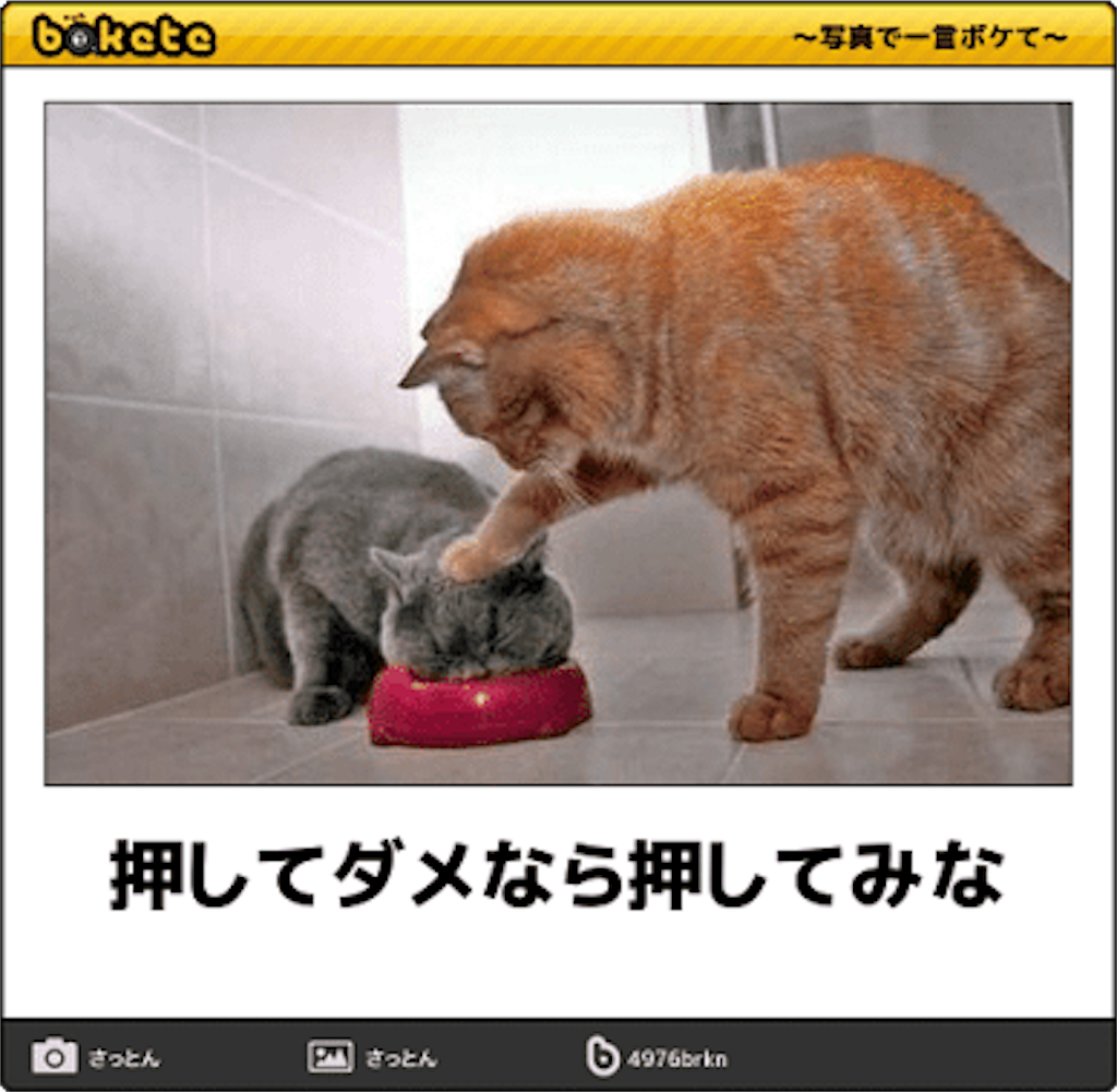 f:id:Combination-Yoga:20170712102227p:image