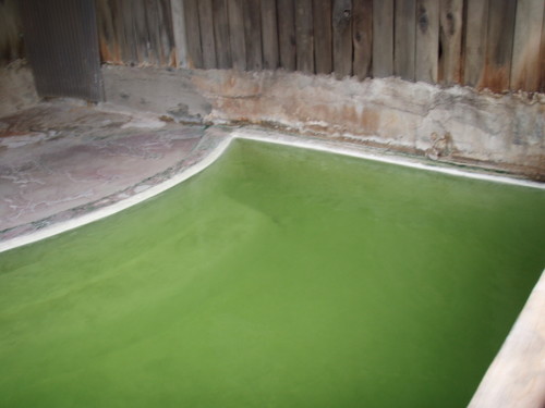 f:id:REDDEVILS:20060814225657j:image