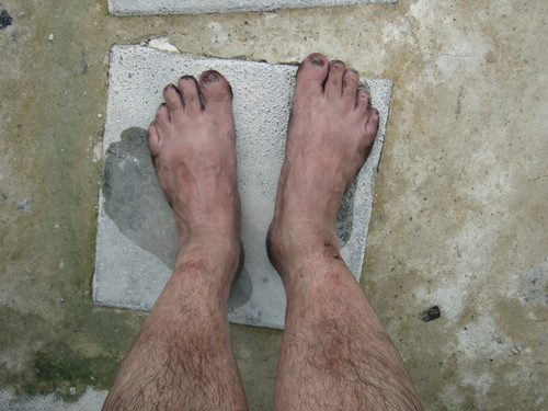 f:id:REDDEVILS:20060814230249j:image