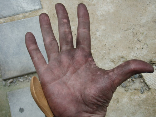 f:id:REDDEVILS:20060814230250j:image