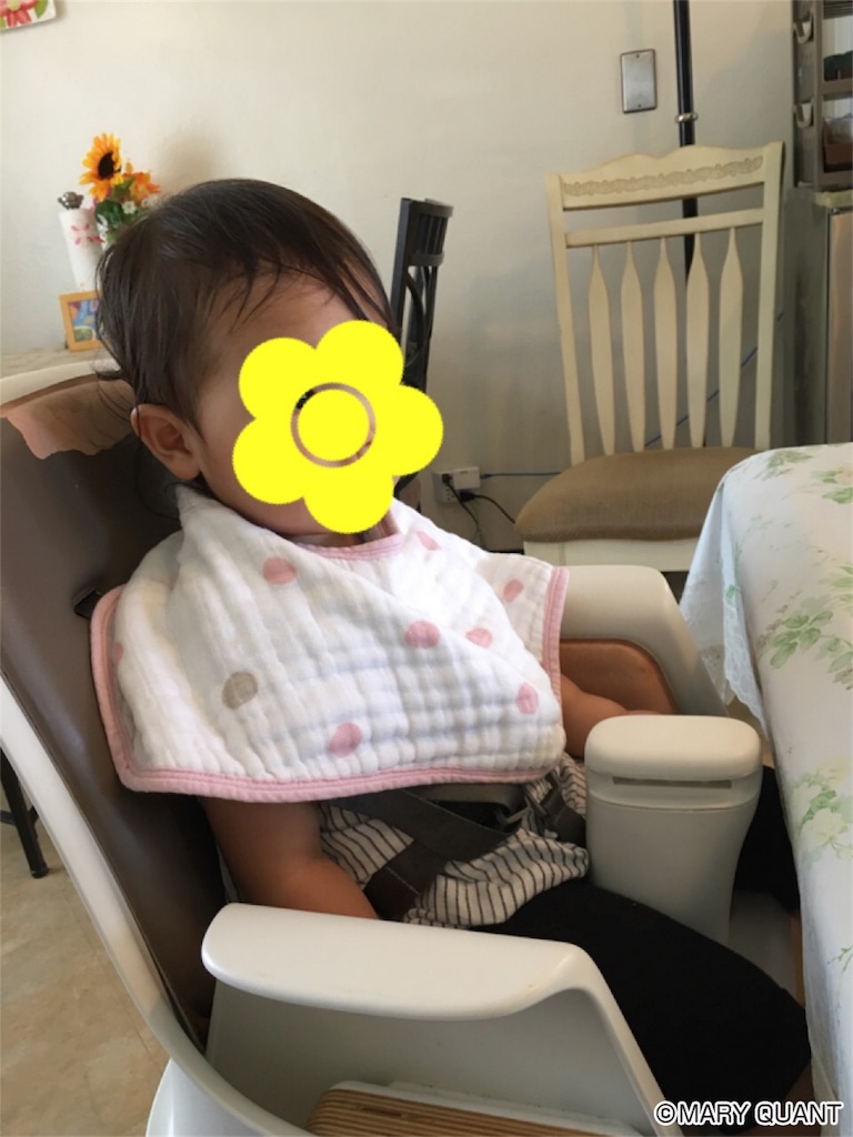 f:id:amilog:20170513010546j:image