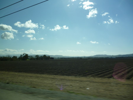 f:id:barbie-sf:20120214143909j:image