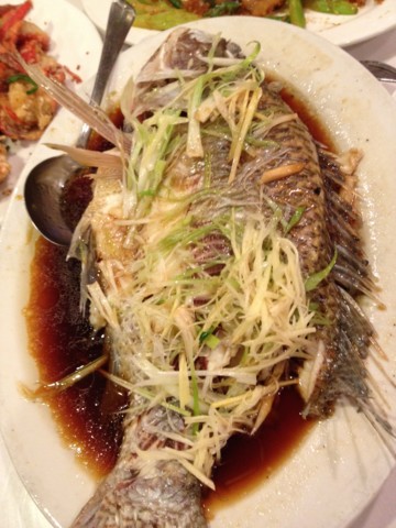 f:id:barbie-sf:20120418222057j:image