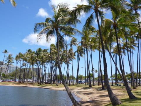 f:id:barbie-sf:20120420164325j:image