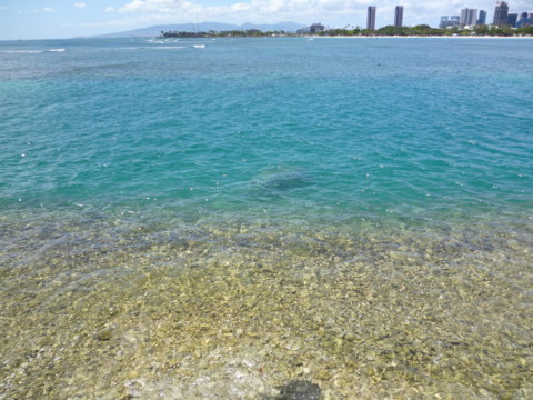 f:id:barbie-sf:20120420165332j:image