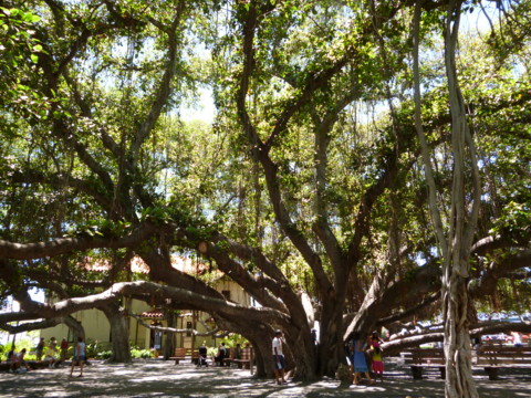 f:id:barbie-sf:20120820161806j:image