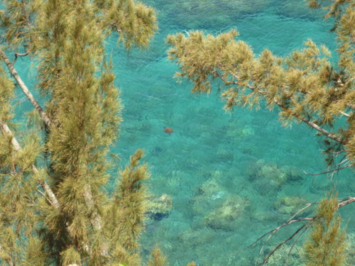 f:id:barbie-sf:20120822140457j:image