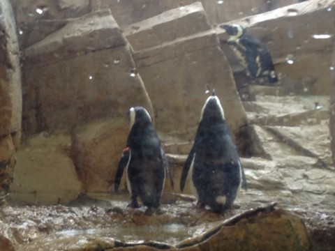 f:id:barbie-sf:20120903113256j:image