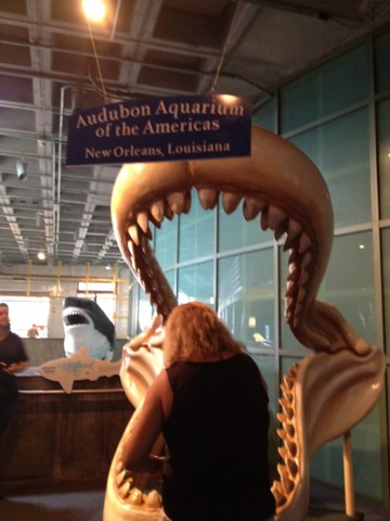 f:id:barbie-sf:20120903113618j:image