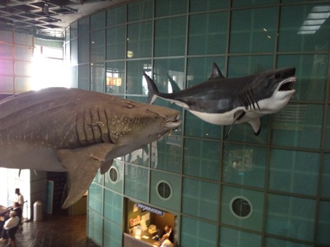 f:id:barbie-sf:20120903113831j:image f:id:barbie-sf:20120903113831j:image