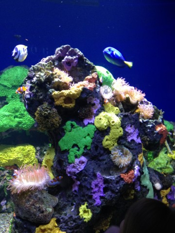 f:id:barbie-sf:20120903114047j:image