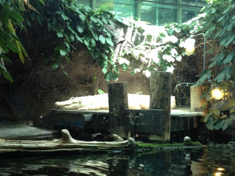 f:id:barbie-sf:20120903115052j:image