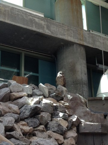 f:id:barbie-sf:20120903115548j:image