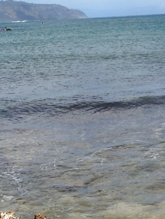 f:id:barbie-sf:20140426115411j:image