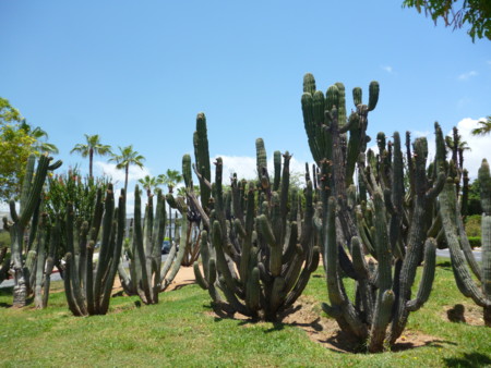 f:id:barbie-sf:20140714122507j:image f:id:barbie-sf:20140714122507j:image