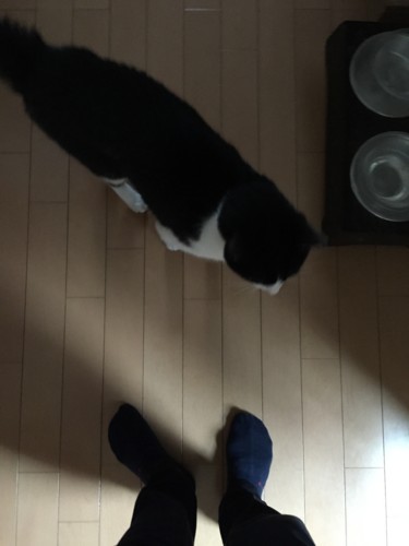 f:id:barbie-sf:20141112135210j:image