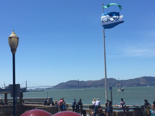 f:id:barbie-sf:20150629140347j:image