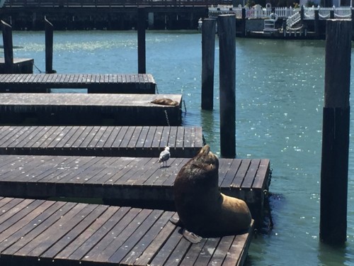 f:id:barbie-sf:20150629140720j:image