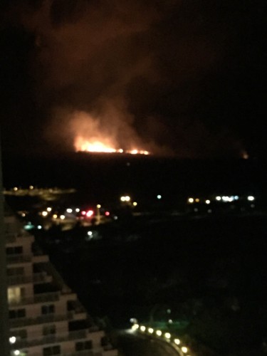 f:id:barbie-sf:20150814231828j:image