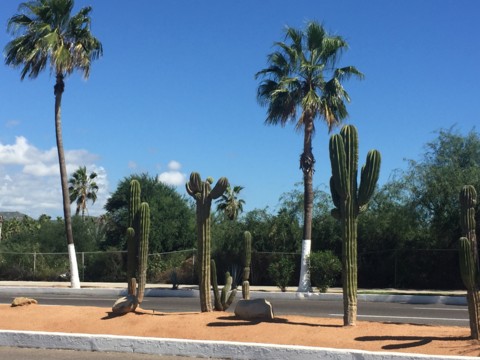 f:id:barbie-sf:20151027114836j:image