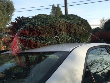 f:id:barbie-sf:20161204151229j:image