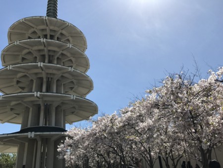 f:id:barbie-sf:20170328141420j:image