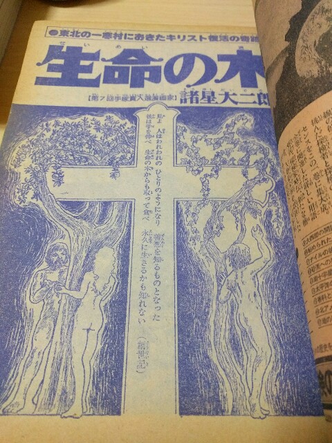 生命の木（1976/08/20 少年ジャンプ8月20日増刊号） - bunji square