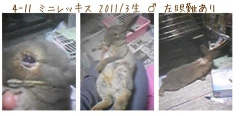 f:id:ground_sloth:20110530094939j:image:w440