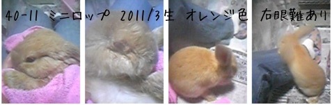 f:id:ground_sloth:20110530095747j:image:w440