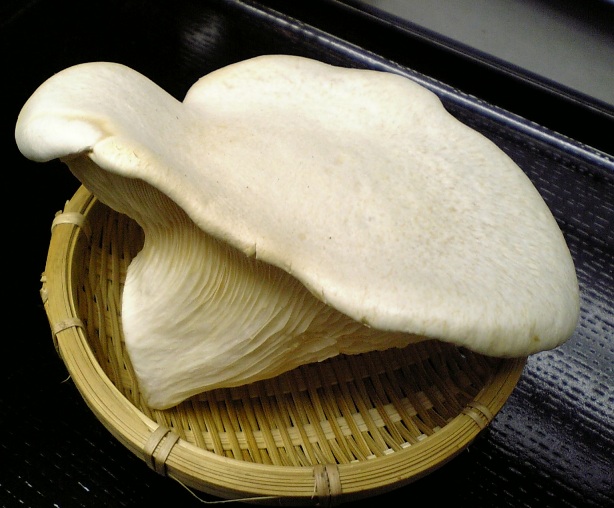 f:id:halikank:20140927224713j:plain