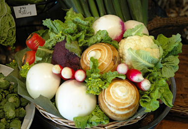 f:id:halikank:20140927224953j:plain