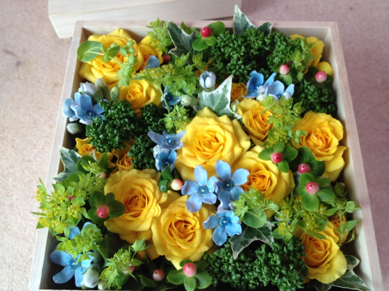 f:id:halikank:20140927225247j:plain