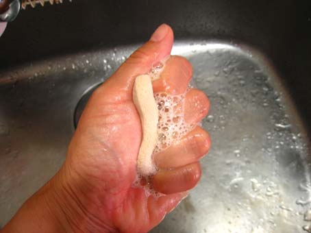 f:id:honokasha:20100616161305j:image