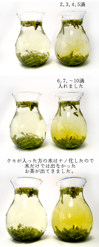 f:id:honokasha:20100622170948j:image