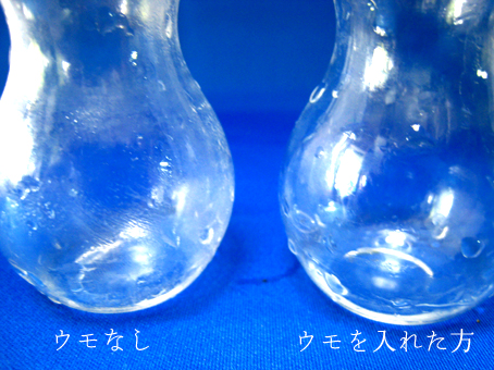f:id:honokasha:20100622181250j:image