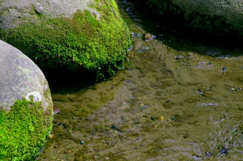 f:id:hphpcst:20160220214855j:plain