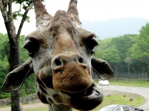 f:id:hphpcst:20160220222813j:plain f:id:hphpcst:20160220222813j:plain