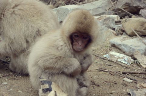 f:id:hphpcst:20160223210900j:plain f:id:hphpcst:20160223210900j:plain