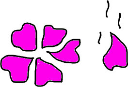 f:id:ikep:20080402002019j:image f:id:ikep:20080402002019j:image